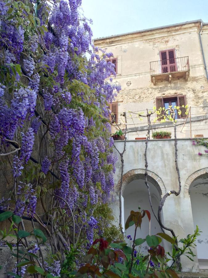 Palazzo De Fabritiis Bed & Breakfast Rosciano  Exterior photo